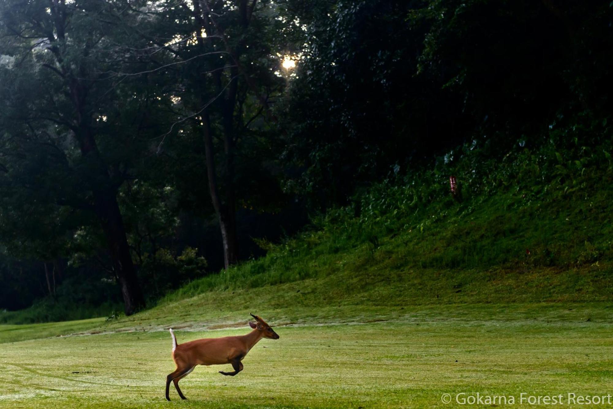 Gokarna Forest Resort Kathmandu Exterior foto