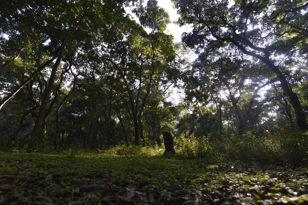 Gokarna Forest Resort Kathmandu Exterior foto